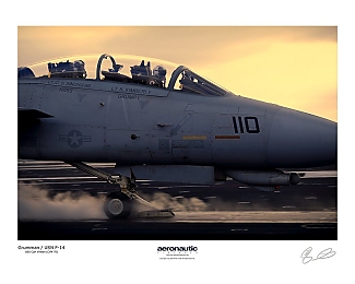 F-14 Tomcat Poster