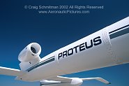 Proteus